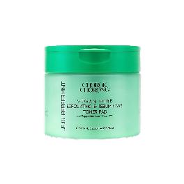 CHOROK CHORONG VEGAN HERB EXFOLIATING & SEBUM CARE JEJU PEPPERMINT TONER PAD