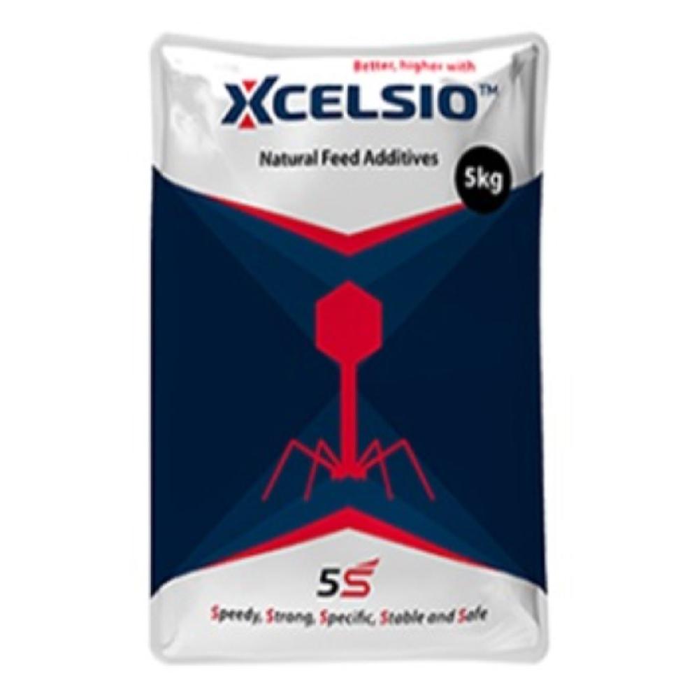 Xcelsio