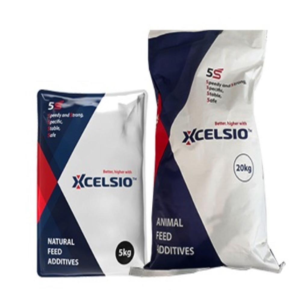 Xcelsio